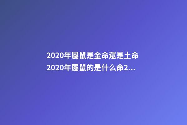 2020年屬鼠是金命還是土命 2020年屬鼠的是什么命2020年屬鼠的人五行屬什么-第1張-觀點-玄機派